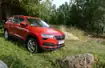 Skoda Karoq 1.0