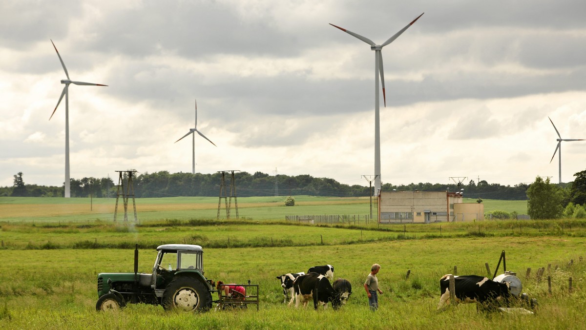 Zarząd woj. podkarpackiego przyjął "Program rozwoju odnawialnych źródeł energii". Dzięki temu dokumentowi przedsiębiorcy będą wiedzieli, gdzie ulokować swoje inwestycje dotyczące OZE – poinformował na konferencji wicemarszałek Lucjan Kuźniar.