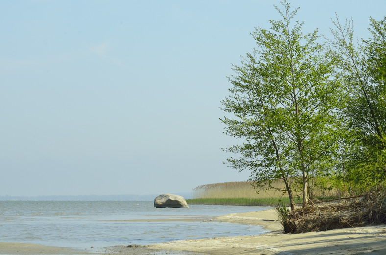 Park Krajobrazowy Wysoczyzny Elbląskiej