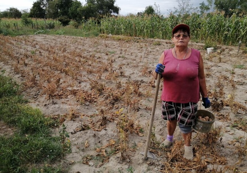 klimatske promene poljoprivreda