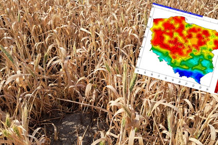 Nadciąga największa susza od lat. "Oficjalne dane tego nie pokażą"