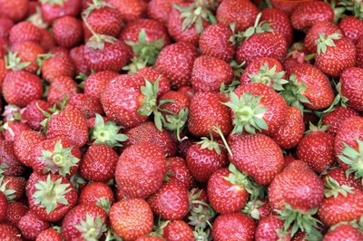 Świętokrzyskie: Zapowiadają się mniejsze zbiory truskawek