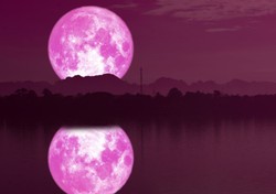 Pełnia Truskawkowego Księżyca to twoja szansa na pomyślność. Zapisz tę datę w kalendarzu