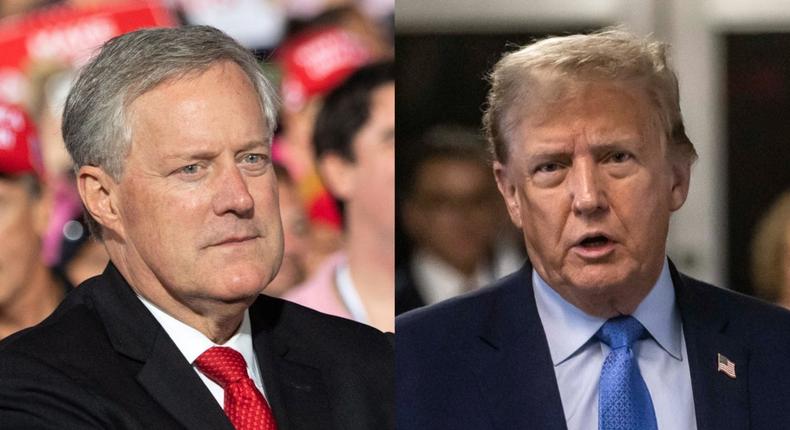 Former White House Chief of Staff Mark Meadows and Donald Trump.SAUL LOEB/AFP via Getty Images; Dave Sanders-Pool/Getty Images