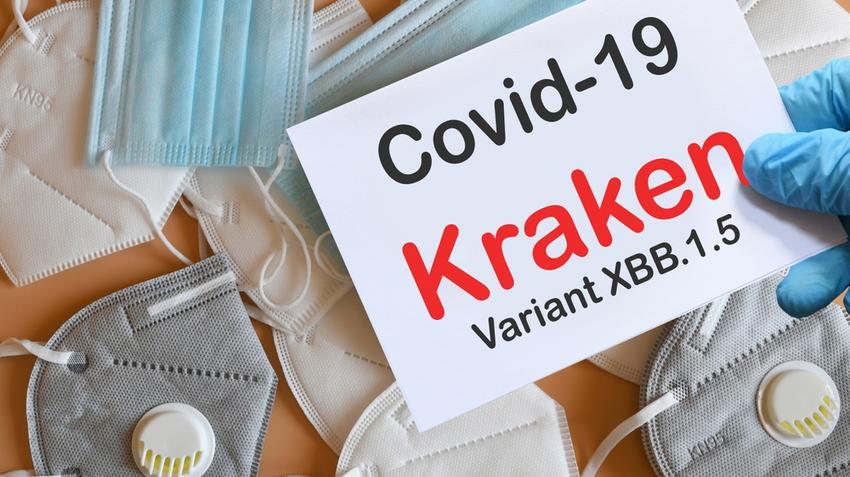 Kraken, koronavírus, Covid-19, XBB.1.5 variáns