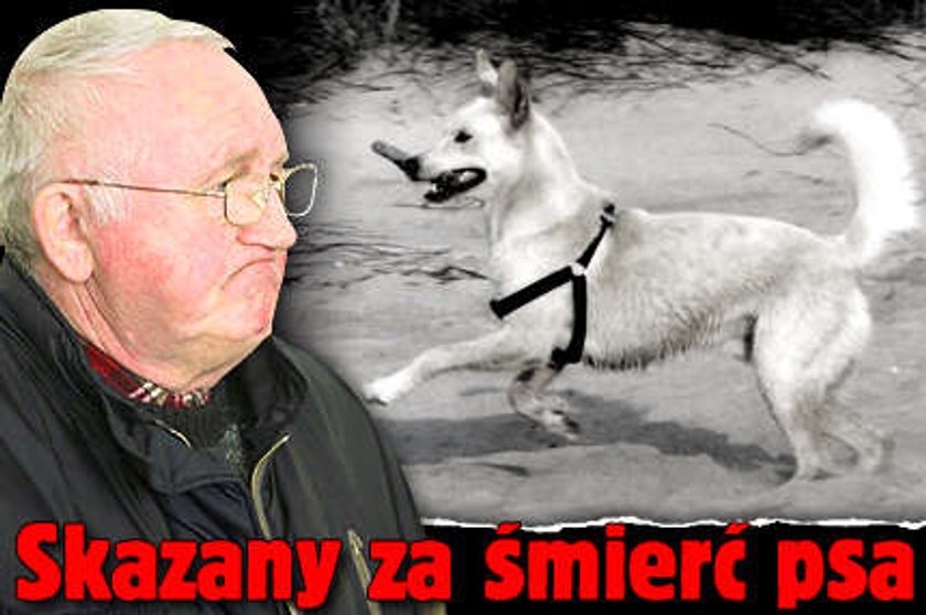 Skazany za śmierć psa