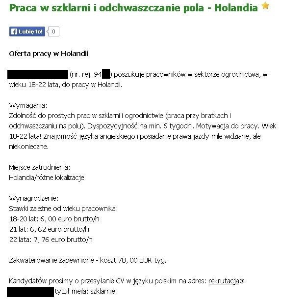 Oferta pracy w Holandii, fot. ER