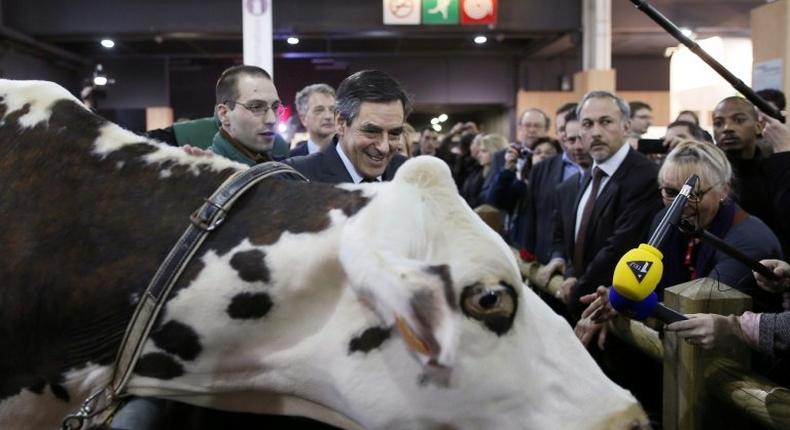 Francois Fillon visits the 2013 version of the Paris farm show but has postponed a visit to the 2017 event