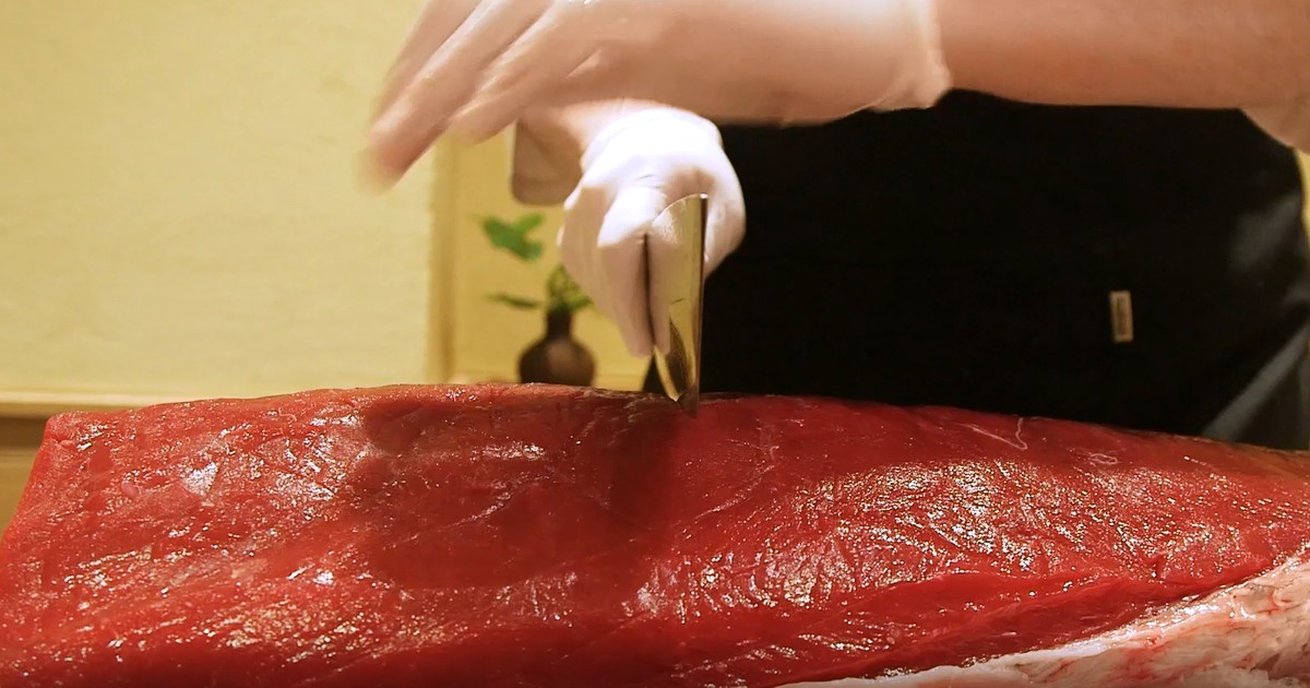 25 tys. zł za kilogram. Wyjaśniamy, dlaczego tuńczyk błękitnopłetwy jest taki drogi