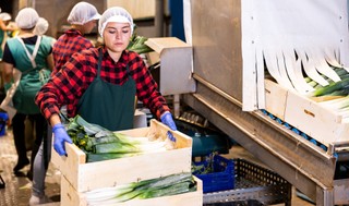 Kogo szuka rynek? Oto najbardziej pożądani pracownicy według GUS-u [LISTA]