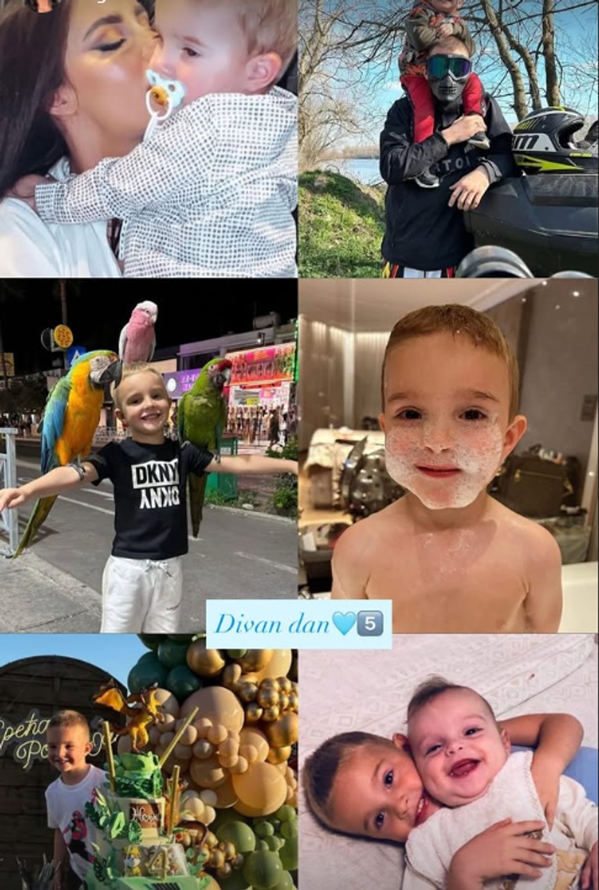 Bogdana Ražnatović, objava