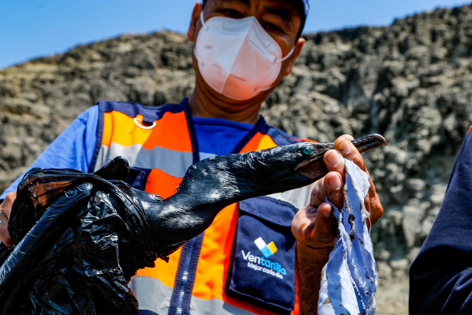 Plaże w Peru toną w ropie naftowej po wybuchu wulkanu