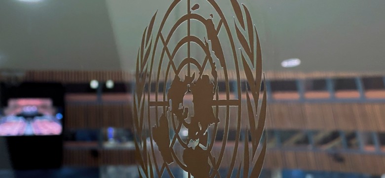 Rada Bezpieczeństwa ONZ łagodzi brzmienie rezolucji. "Ubolewa" zamiast "potępia"