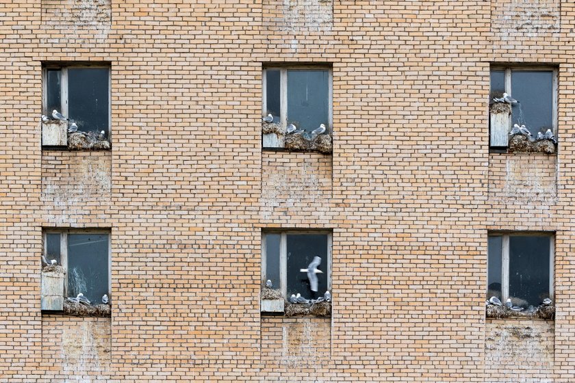 Umarłe miasto. Piramida na Spitsbergenie