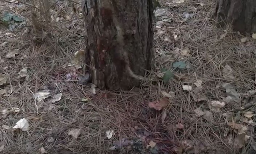 Mesto na kom je pretučen Spasojević