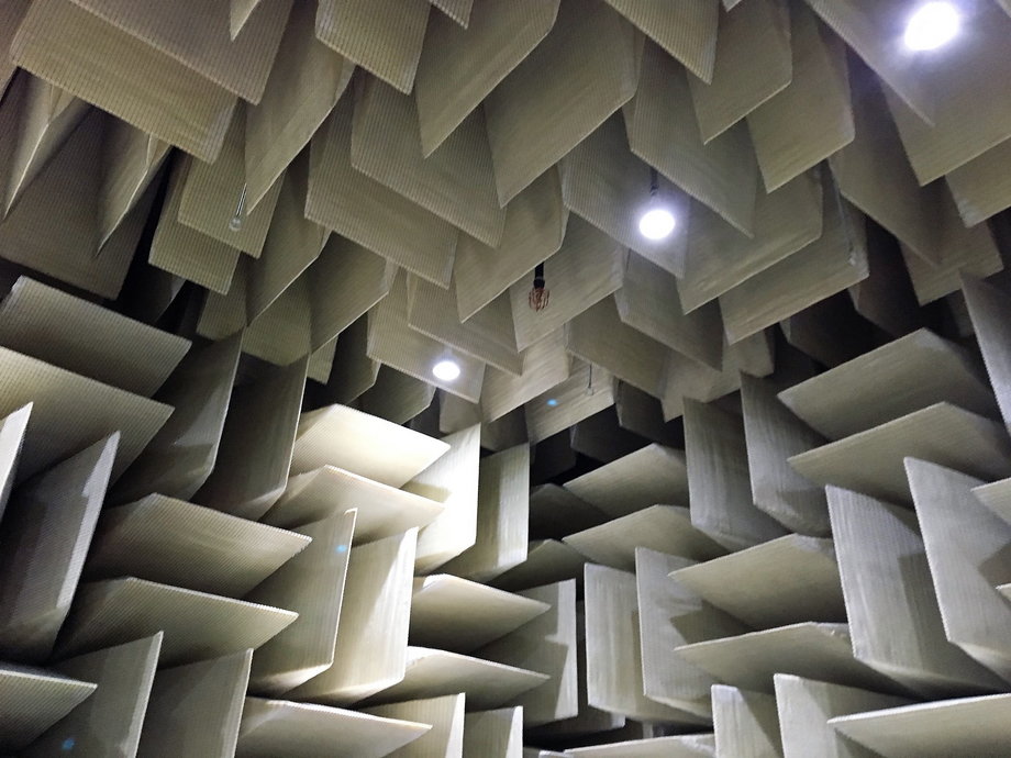 The giant wedges seen here are made of state-of-the-art sound absorption technology.
