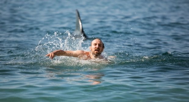 WYSTĘP PONIŻEJ GODNOŚCI: Wojciech Mecwaldowski – 'Last Minute'