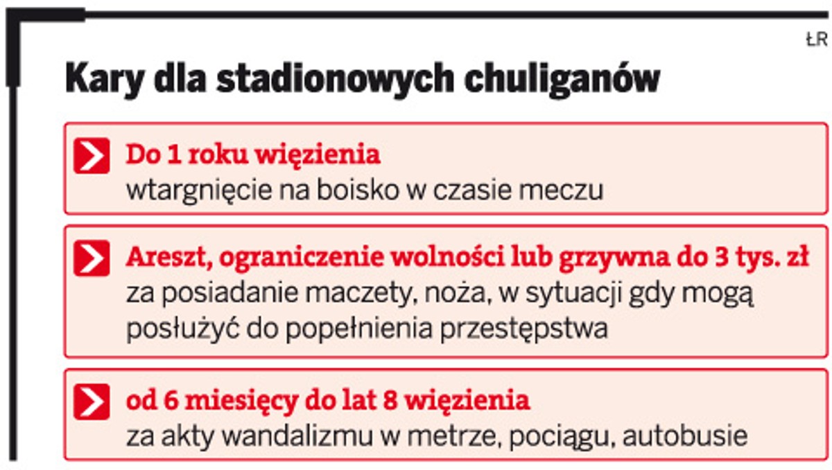 Kary dla stadionowych chuliganów
