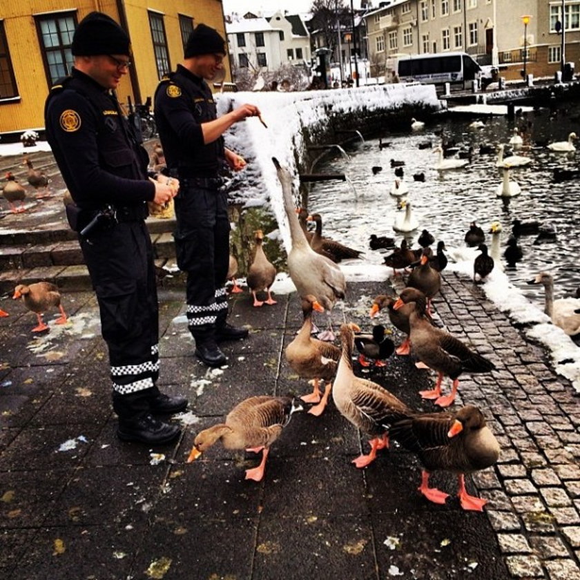 Wyluzowana policja z Reykjaviku