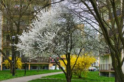 prognoza na wiosnę 2026. po ciepłym marcu przyjdzie zwrot w pogodzie? [prognoza długoterminowa]