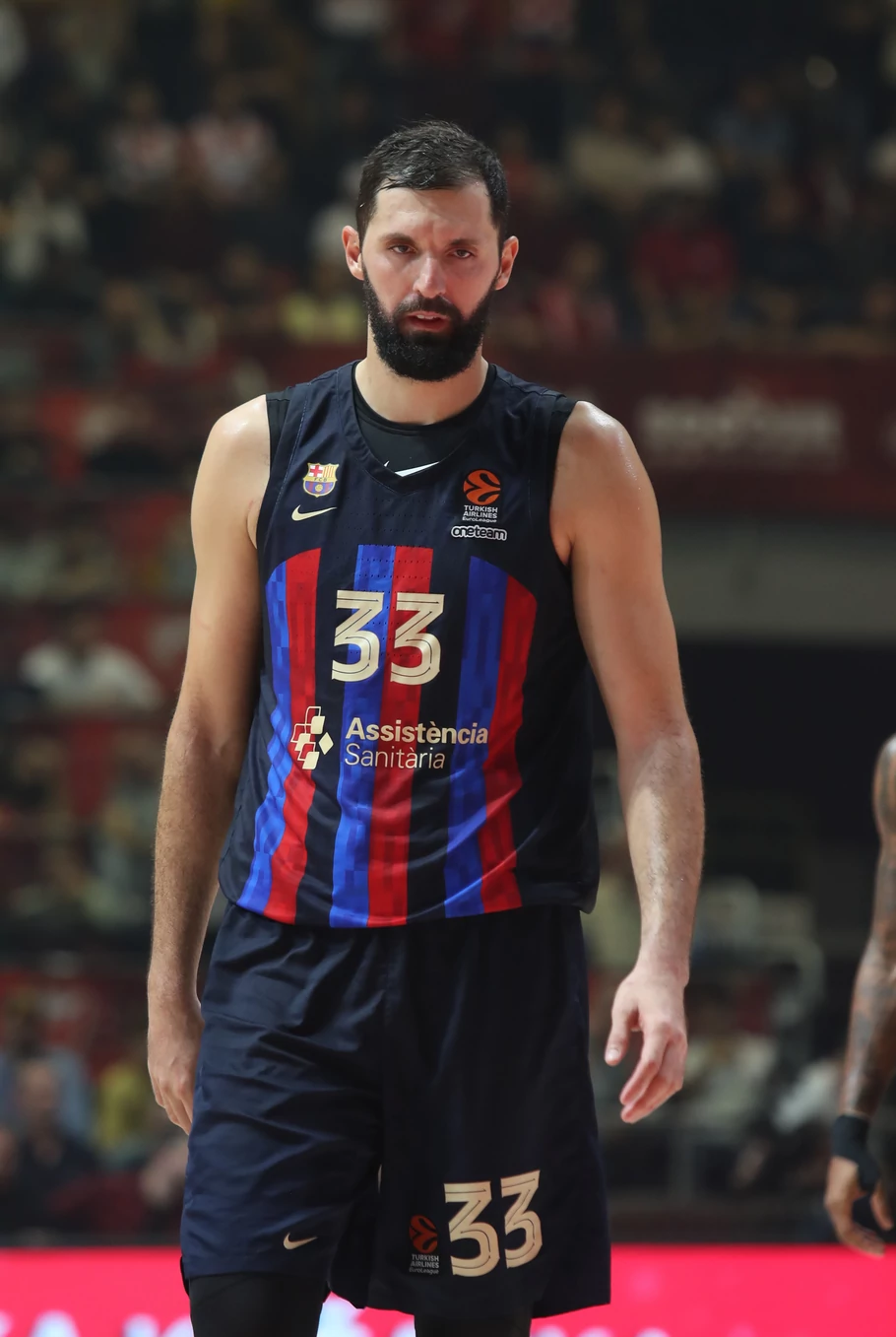 nikola mirotić