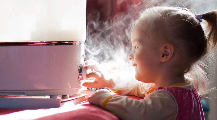 Ha száraz a lakásban a levegő, szerezzünk be egy 
párásítókészüléket /Fotó: Shutterstock