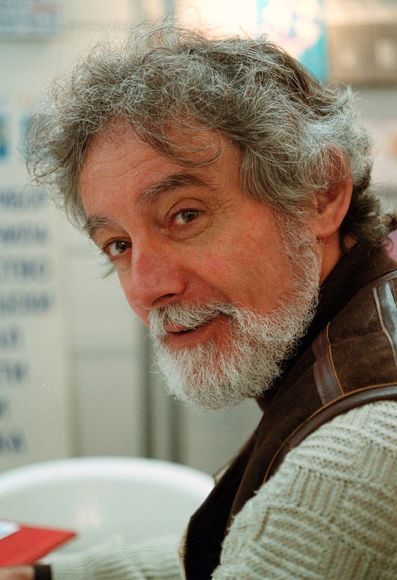 Dobrica Erić