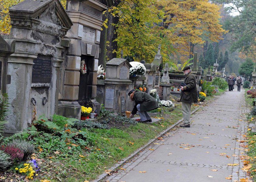 Będą darmowe przejazdy meleksami po cmentarzu w Krakowie?