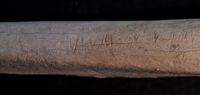 Tragovi sečiva na kosti