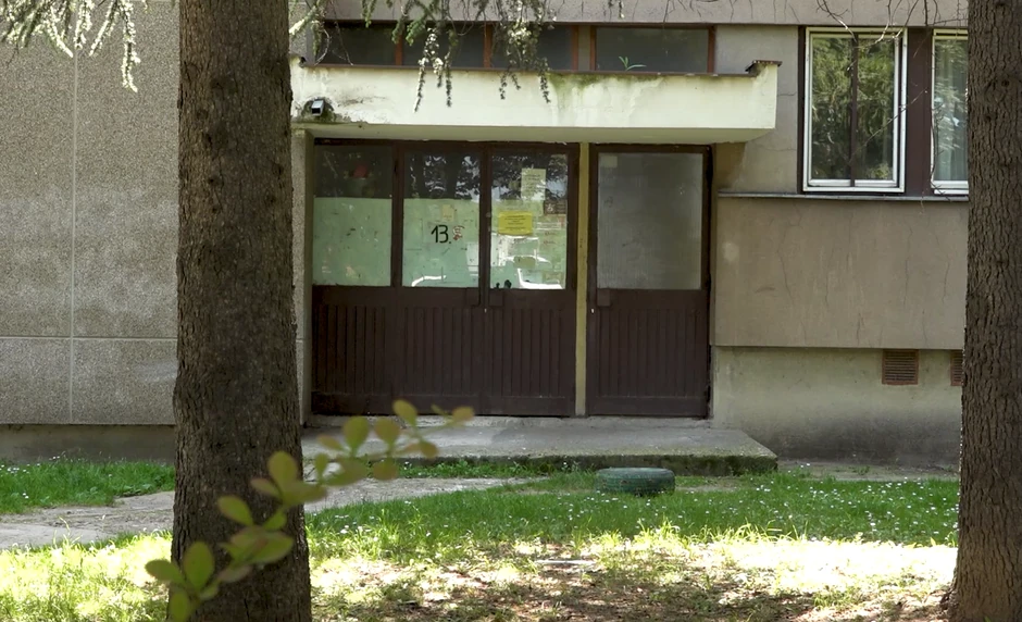 Slađa Alegro, emisija "Metar moga sela"