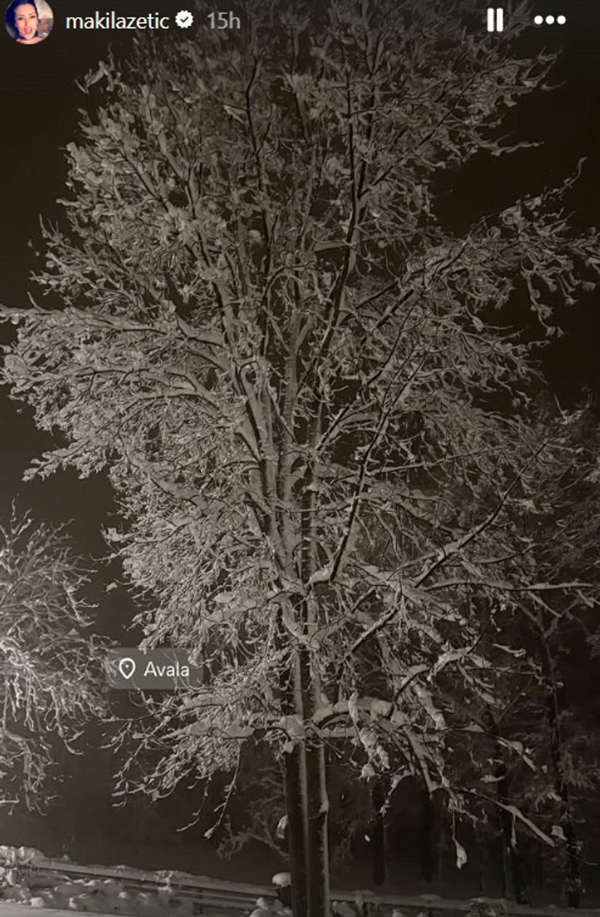 Kuća Sonje i Nikole Lazetića na Avali