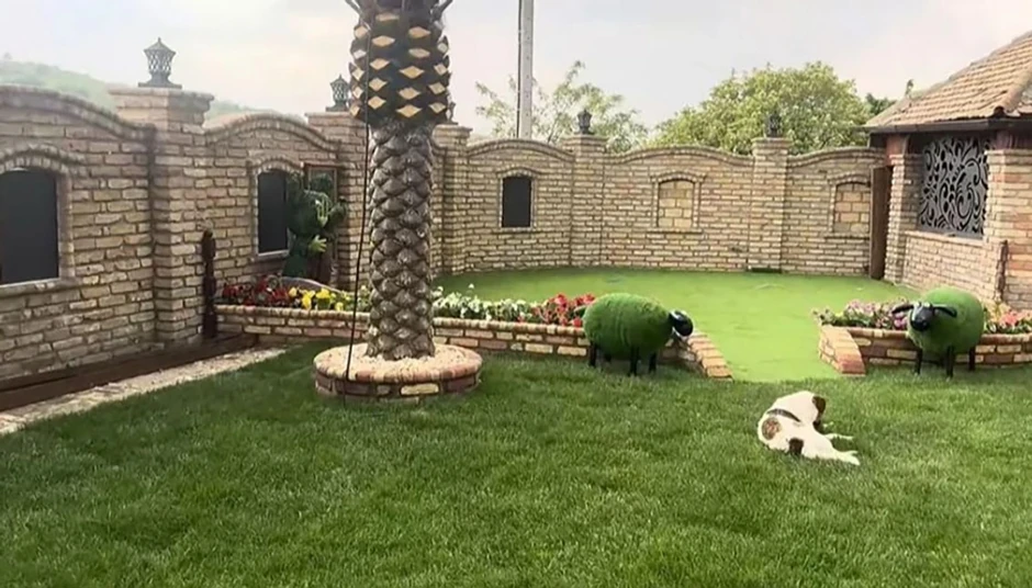 Aleksandra Subotić vila