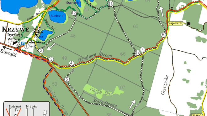 8 km tras narciarskich w głębokim lesie w okolicy Suwałk (Podlaskie) przygotował Wigierski Park Narodowy, by już na święta można było z nich skorzystać - poinformował Jarosław Borejszo z WPN.