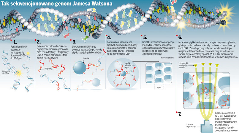 Tak sekwencjonowano genom Jamesa Watsona