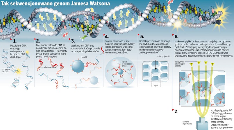 Tak sekwencjonowano genom Jamesa Watsona