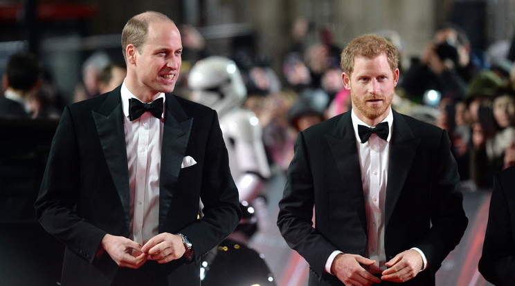 A két herceg meghívta a színészeket a palotába/Fotó: Northfoto