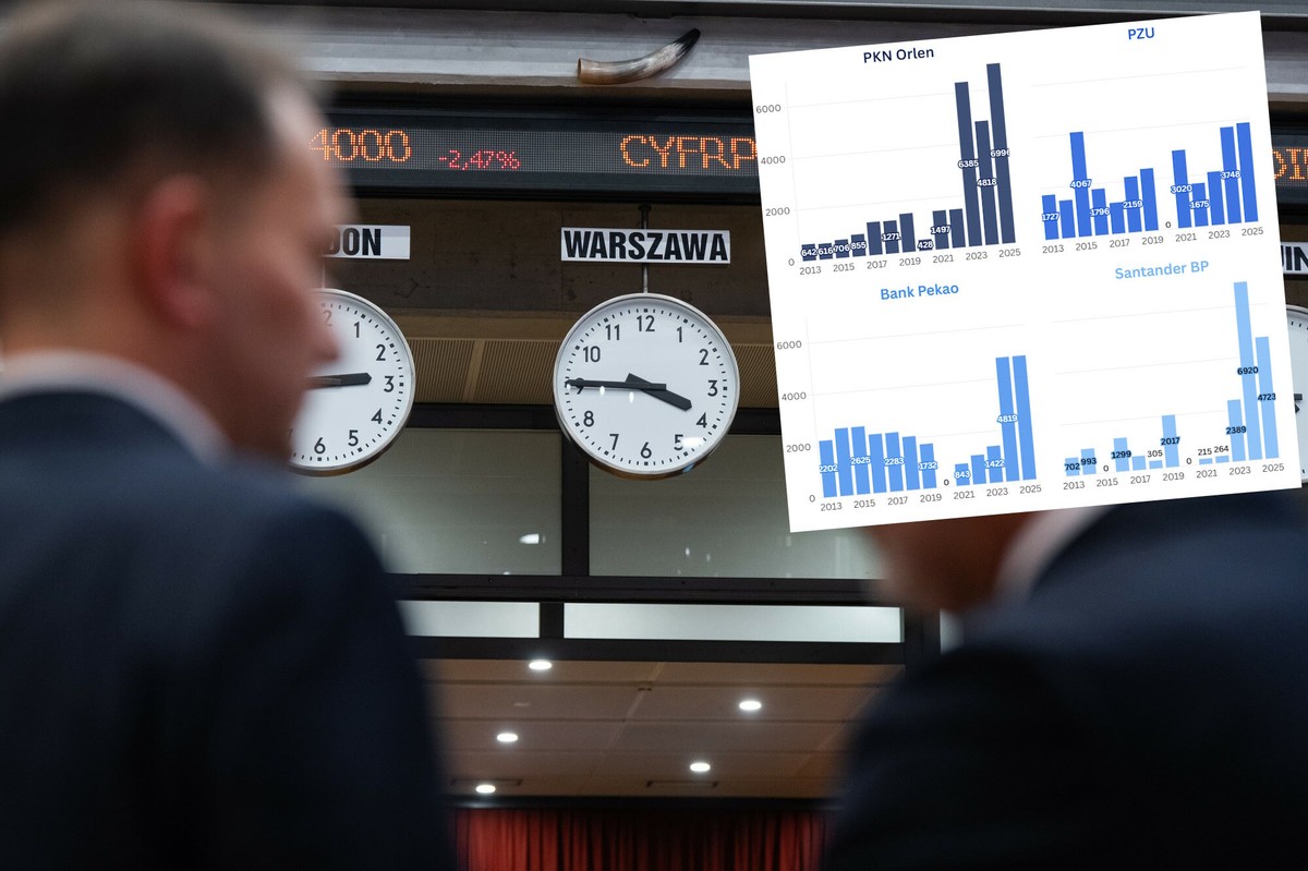 Rok rekordowych dywidend. Polska giełda rosła nie bez powodu