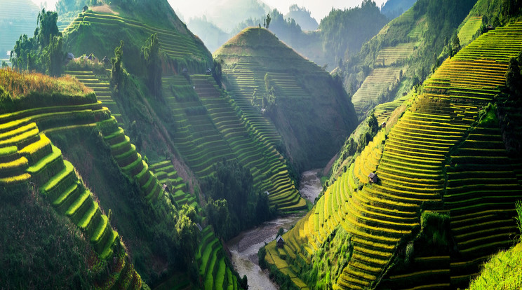Bár műalkotásnak tűnik, Mu Chang Chai hegyein nem művészet, rizstermesztés folyik / Fotó: Shutterstock