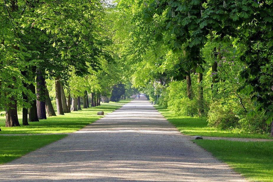 Park Łazienkowski w Warszawie / Pixabay