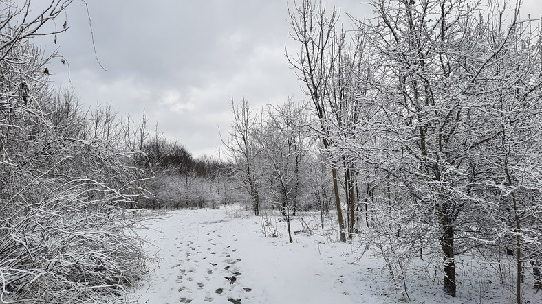 Piękne widoki to największa zaleta biegania zimą