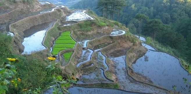 Filipiny. Sagada fot.flickr/suvajack