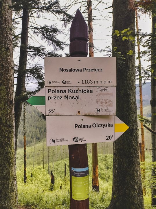 Nosalowa Przełęcz (1103 m n.p.m.)