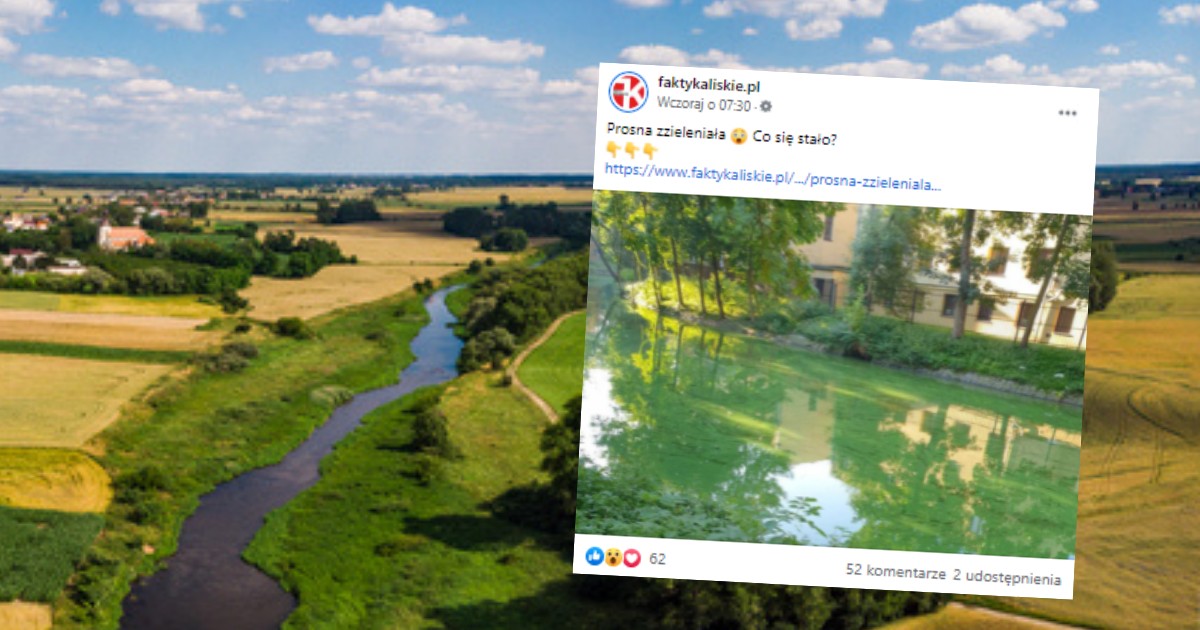 Kalisz. Rzeka Prosna zmieniła kolor. Niesamowite zjawisko - Podróże