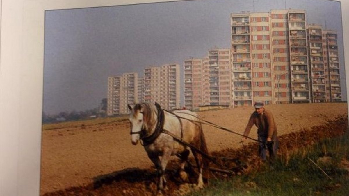 Mimo że z Warszawy do Sztokholmu jest tylko 800 kilometrów, to wiedza Skandynawów o kraju nad Wisłą jest nieco... przestarzała.