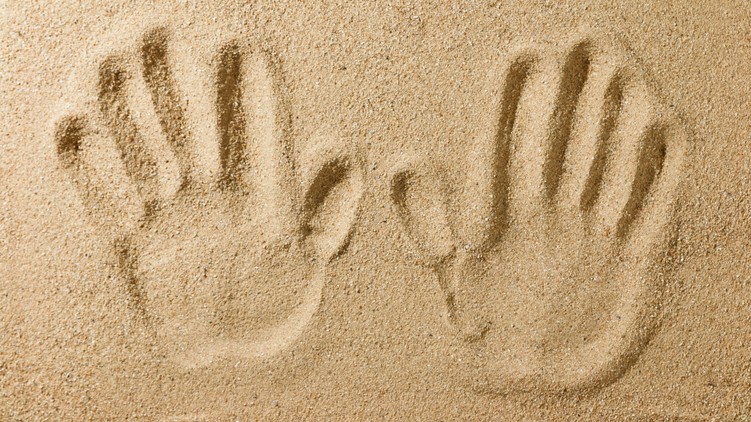 hetedik érzék kutatás felfedezés érzékelés