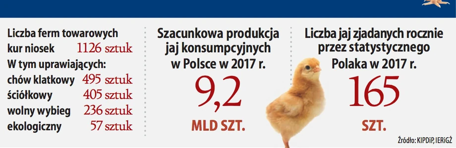 Polskie jaja i kury w liczbach