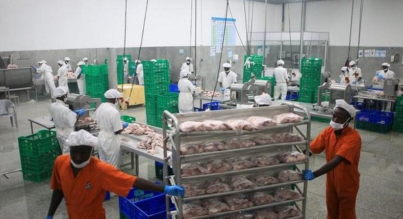 Employees move a trolley filled with chicken to a cold room inside Yo Kuku chicken abattoir in Semuto district, north of Ugandan capital Kampala, April 16, 2015. 