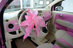 Grażyna Szapołowska sprawiła sobie różowego fiata 500. Na specjalne zamówienie