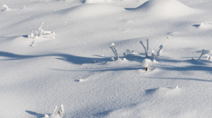 Az ország egyik pontján szakad a hó/ Fotó: Northfoto