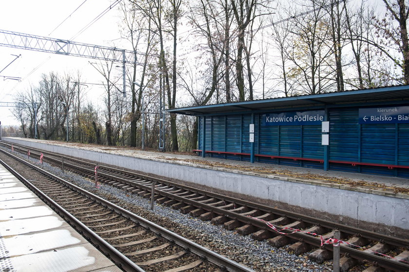 Stacja Katowice - Podlesie